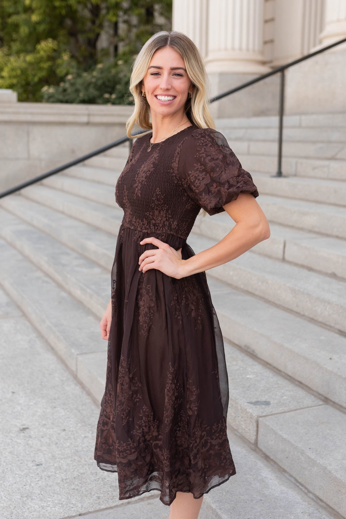 Alyanna Brown Embroidered Dress