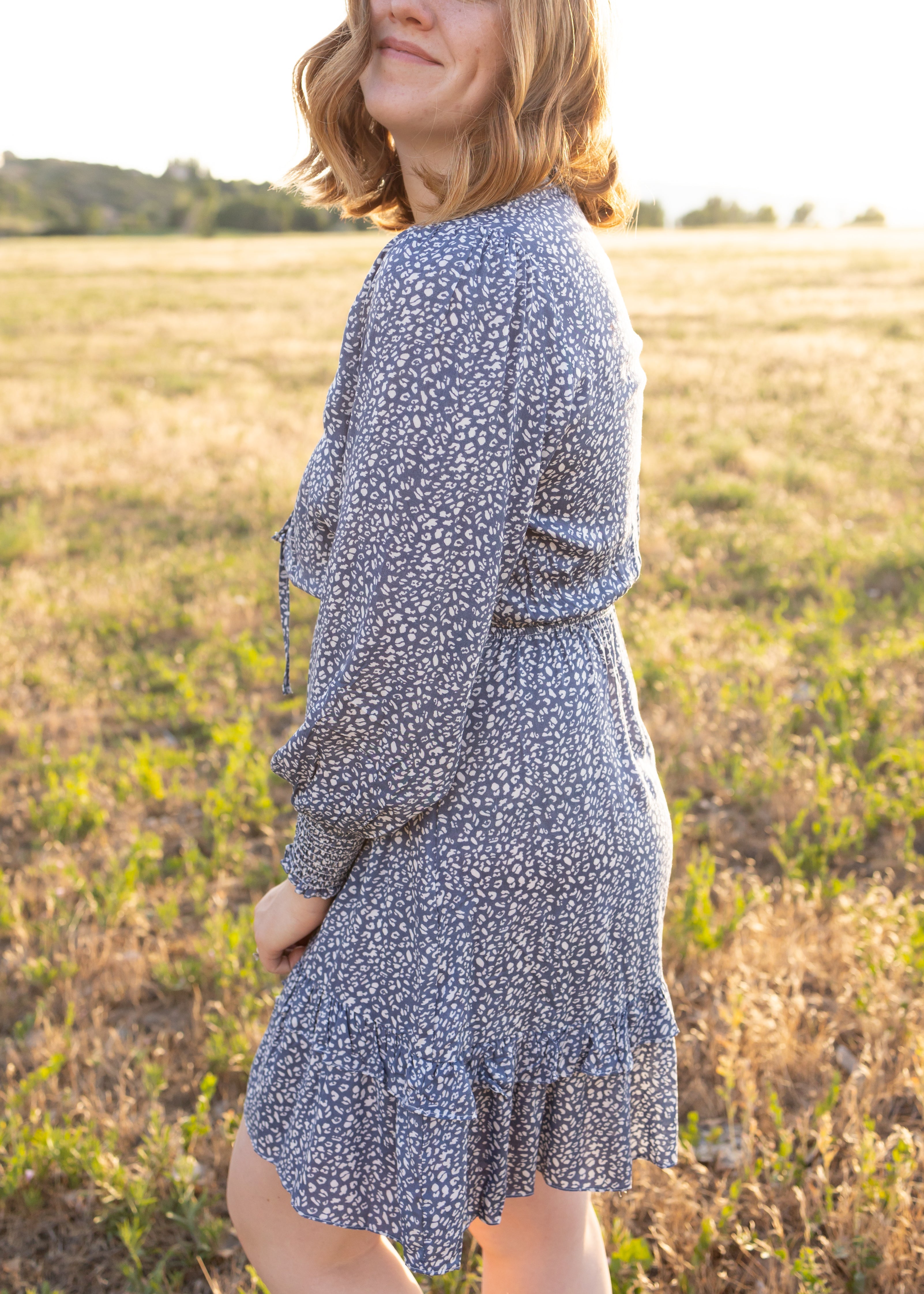 Cassidy Blue Leopard Dress