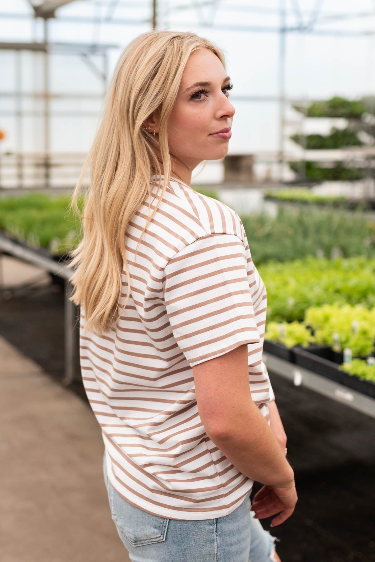 Daizy White Taupe Striped Top