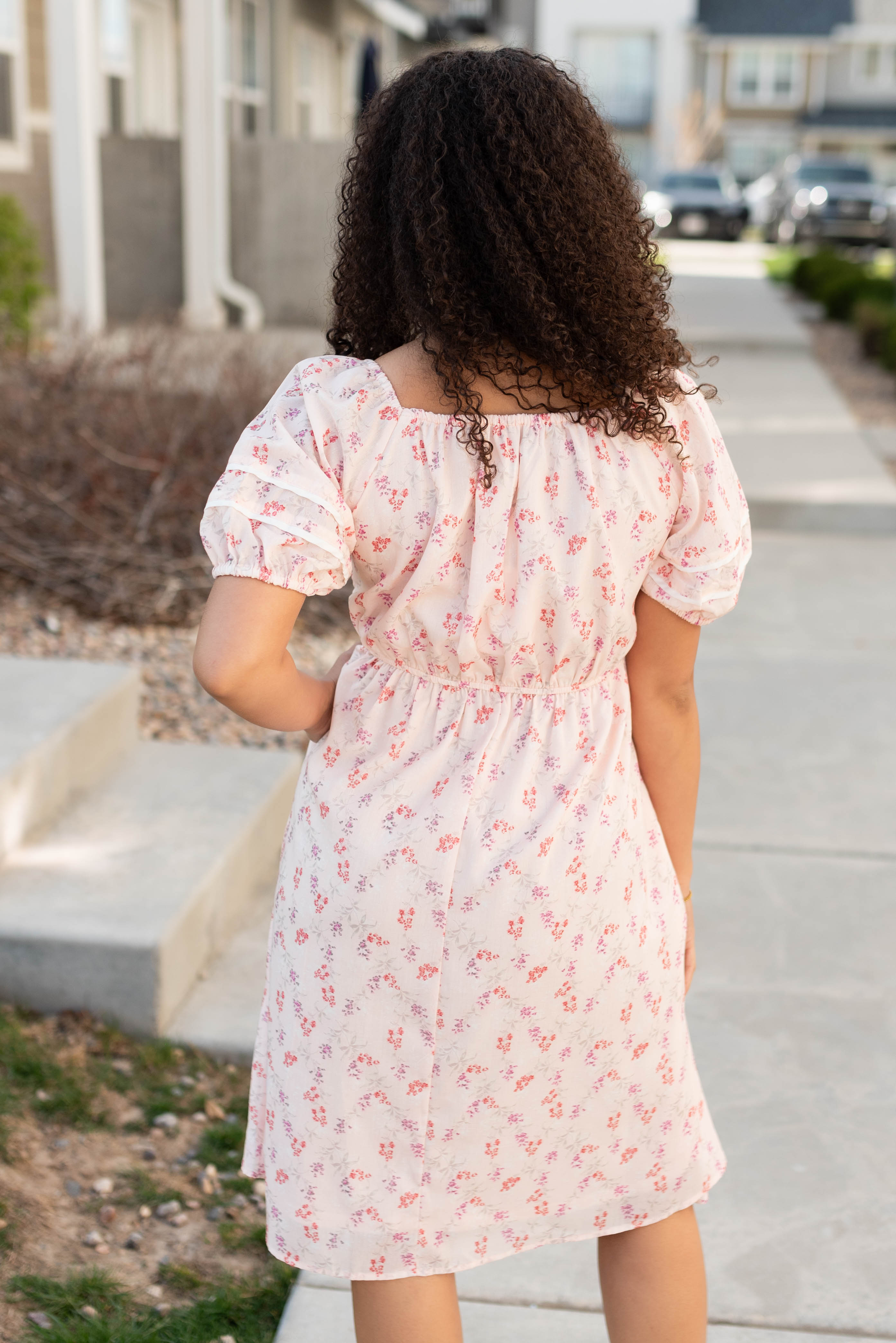Jaysha Blush Floral Dress