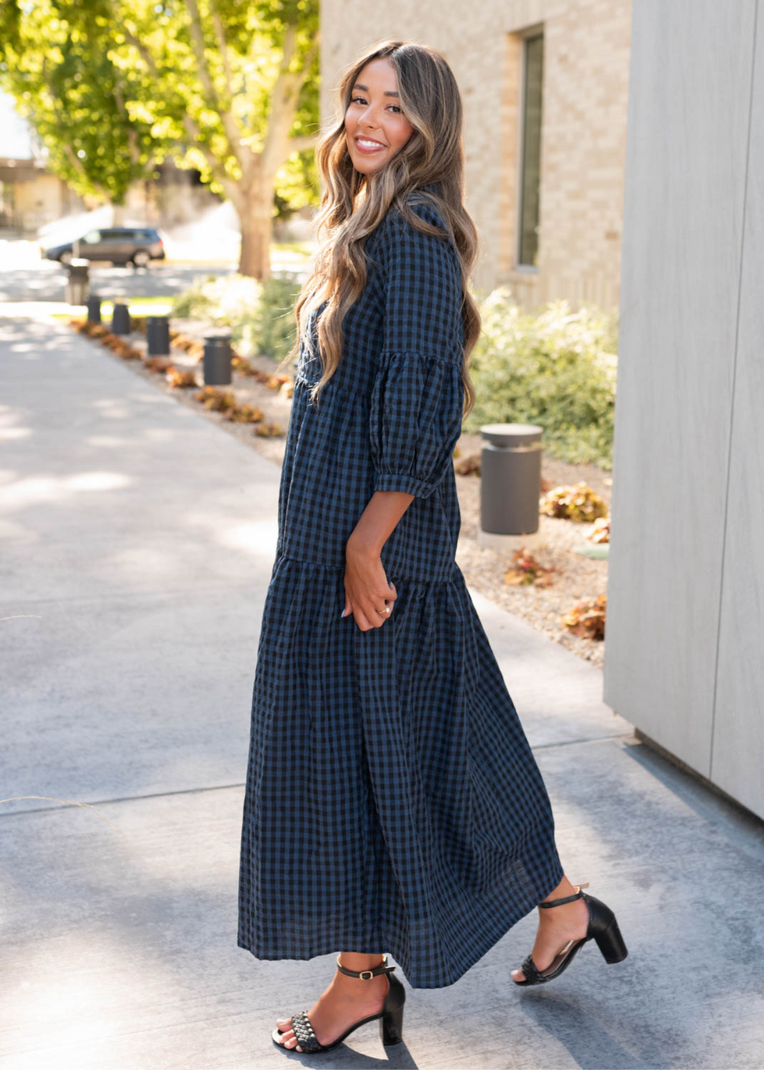 Layne Navy Black Gingham Dress