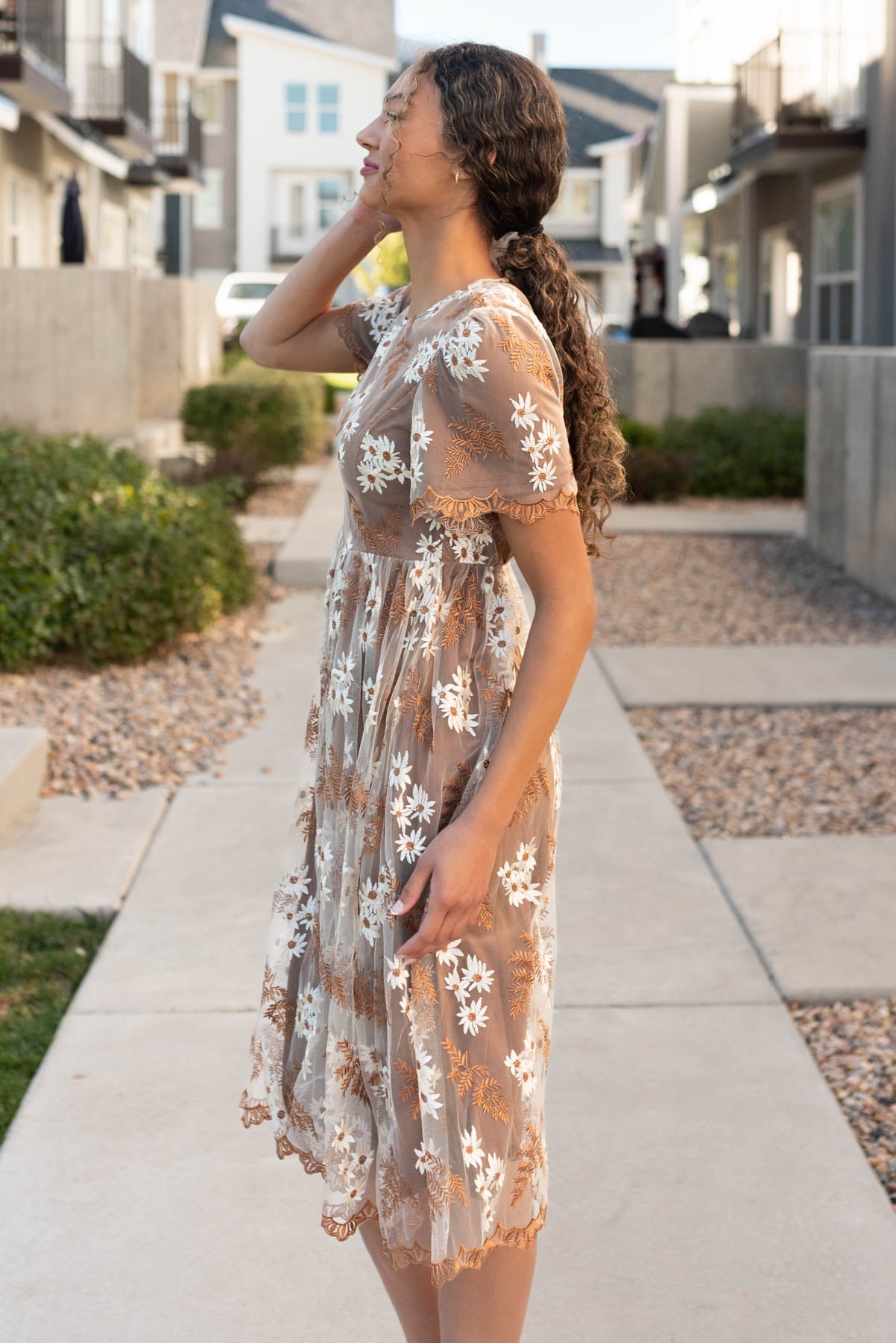 Lola Brown Embroidered Dress