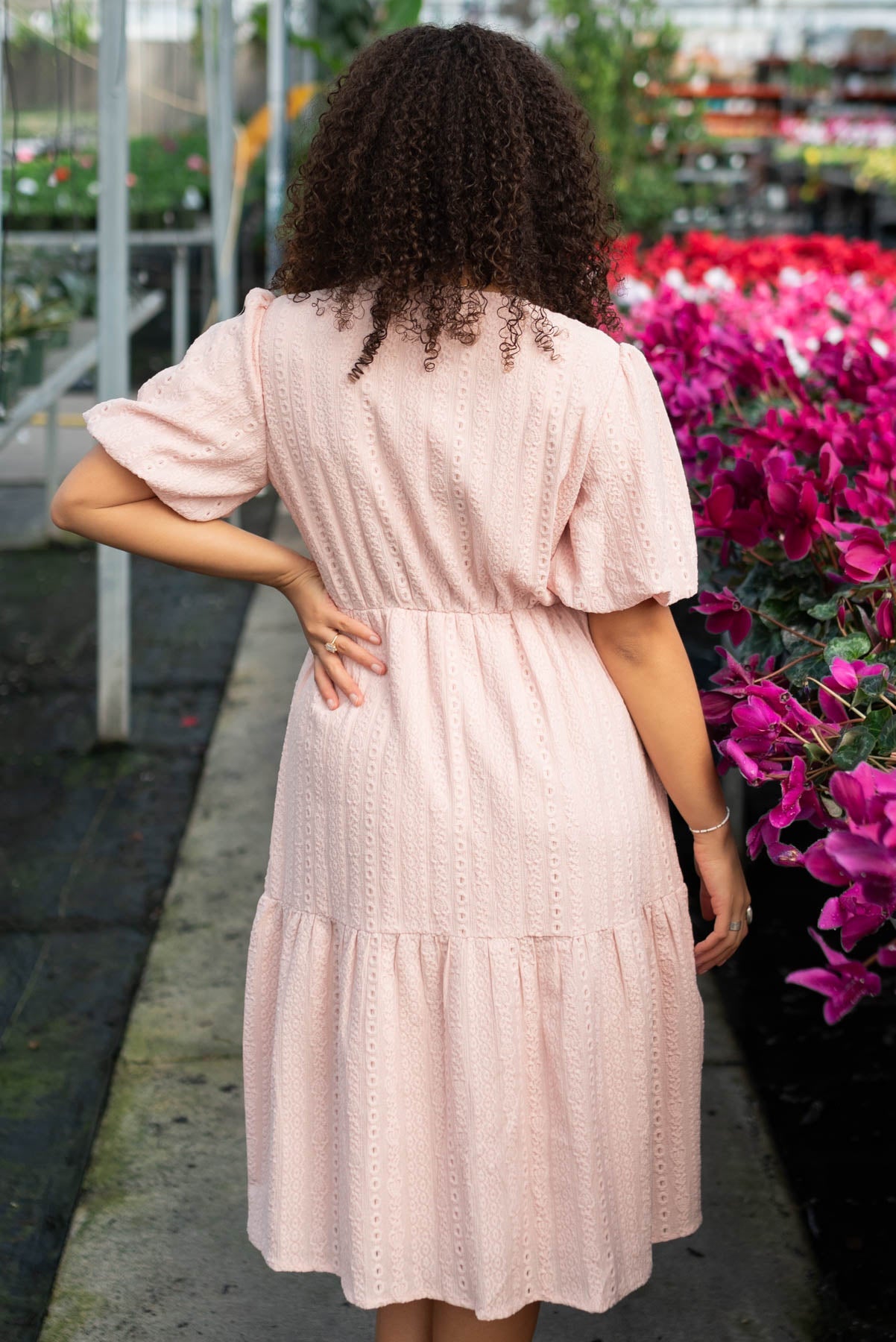 Lydia Blush Lace Dress