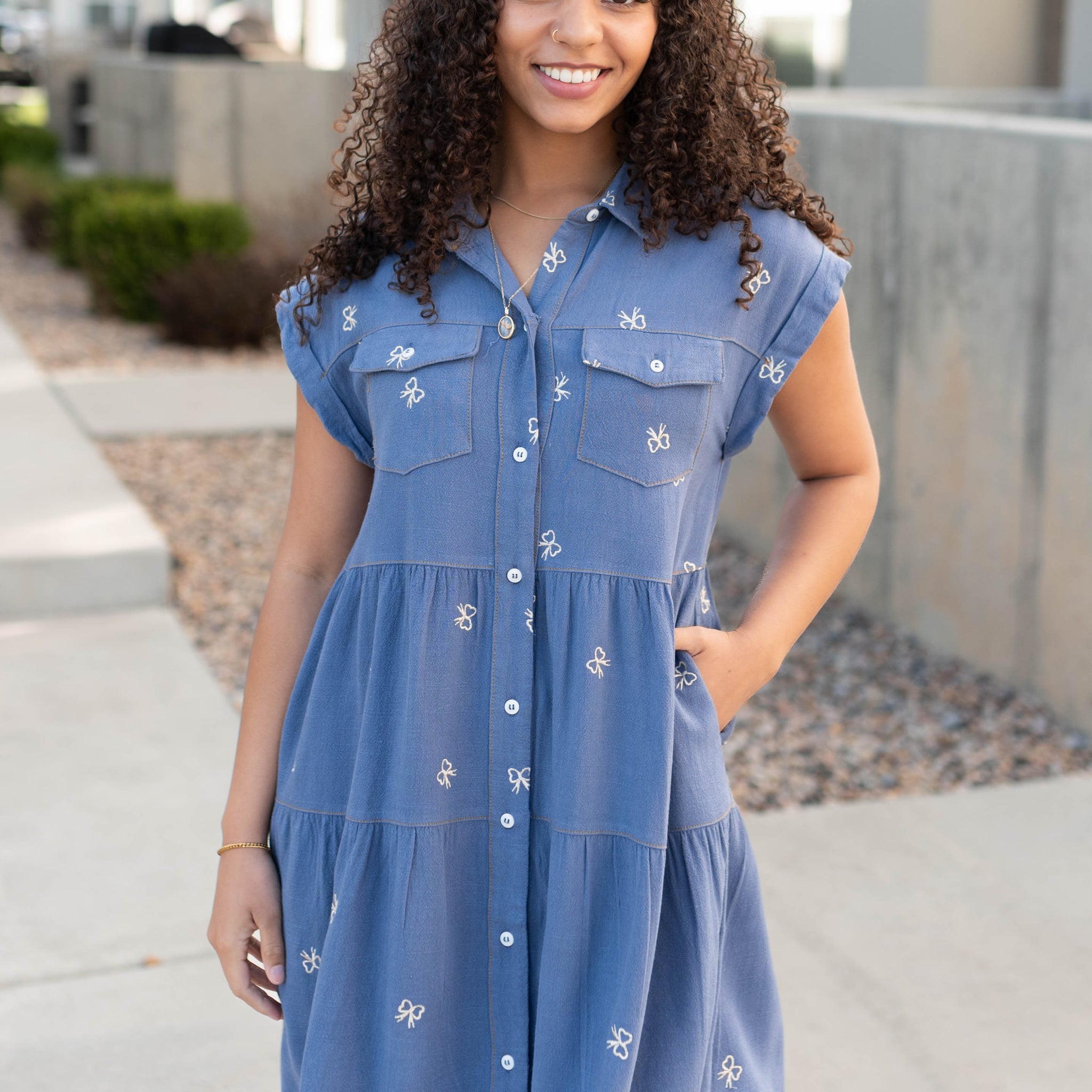 Lynn Denim Bow Embroidered Dress