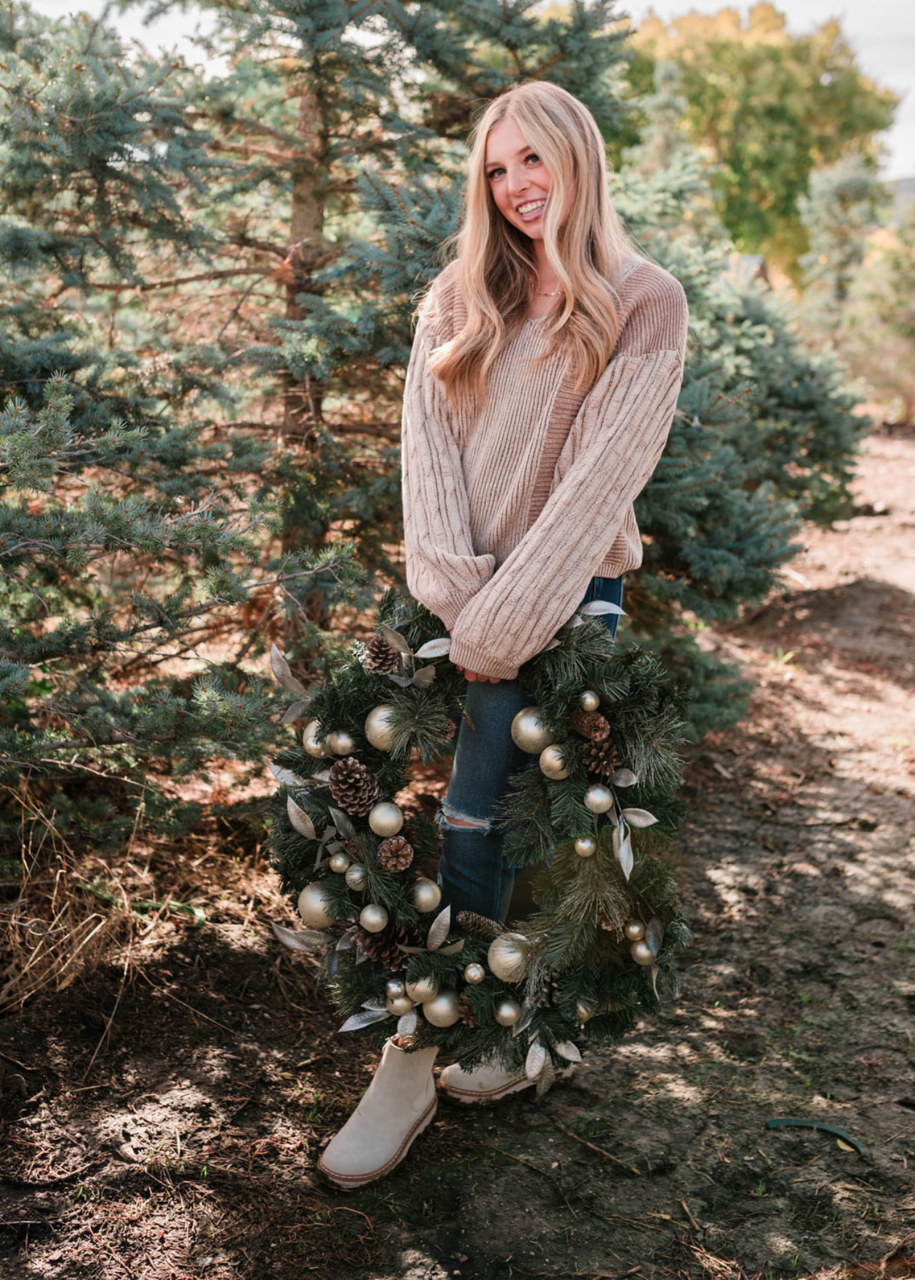 Vienna Taupe Sweater