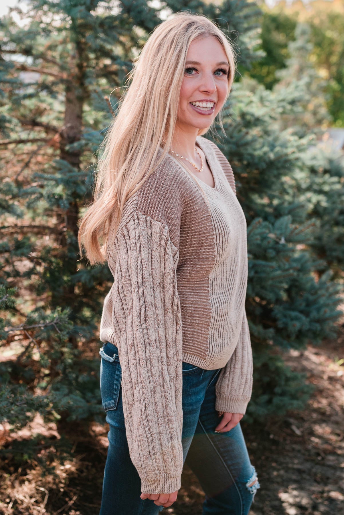 Vienna Taupe Sweater